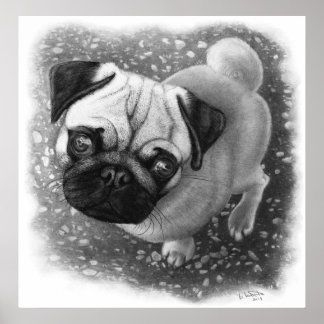 Pug Puppy Dog Art Poster