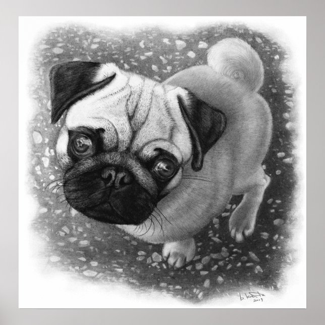 Pug Puppy Dog Art Poster (Front)