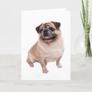Pug Puppy Dog Blank Greeting Note Card
