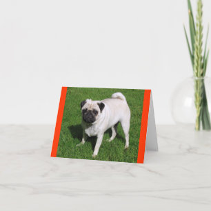 Pug Puppy Dog Blank Greeting Note Card