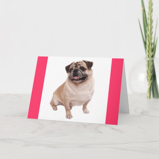 Pug Puppy Dog Blank Greeting Pink  Note Card (Front)