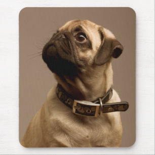 Pug Puppy Dog Canine Computer Mousepad