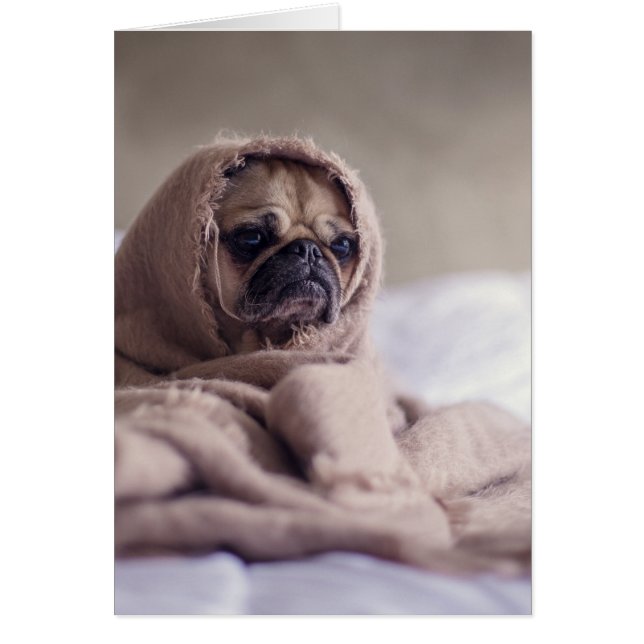 Pug puppy Dog Cuddling in a warm towel Blanket (Front)