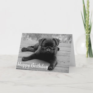 Pug Puppy Dog Happy Birthday Card - Black & White