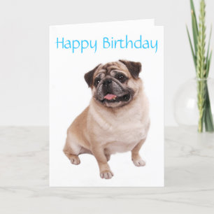 Pug Puppy Dog Happy Birthday Card - Verse inside