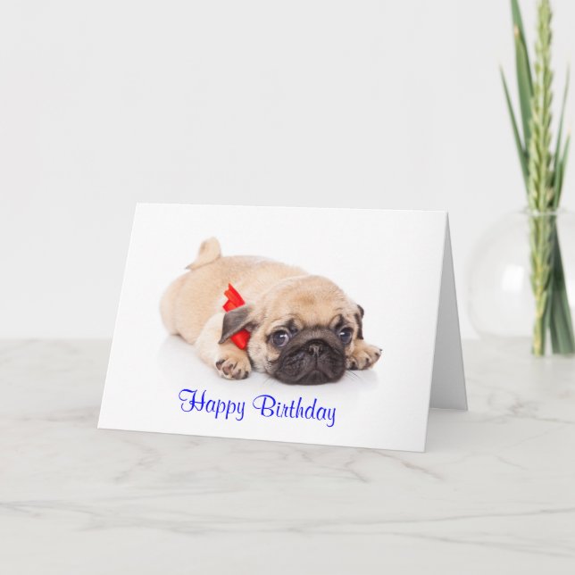 Pug Puppy Dog Happy Birthday Card - Verse inside (Front)