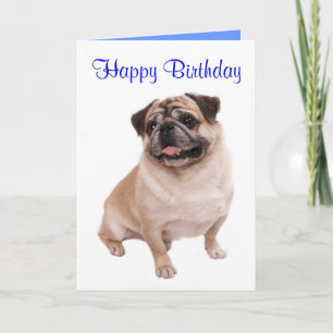 Pug Puppy Dog Happy Birthday Card - Verse inside