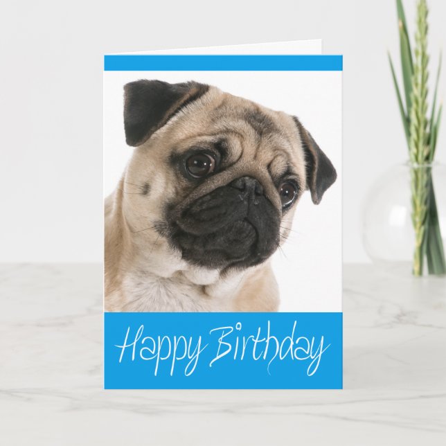 Pug Puppy Dog  Happy Birthday Card - Verse inside (Front)