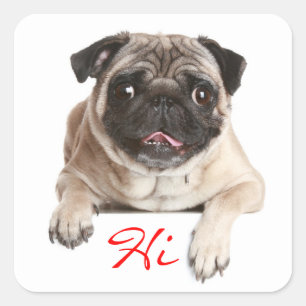 Pug Puppy Dog Hello Greeting Stickers