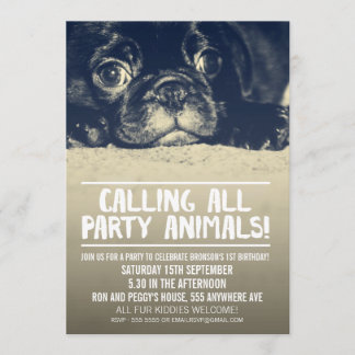 Pug Puppy Dog Party Invite [Full Bleed Photo]