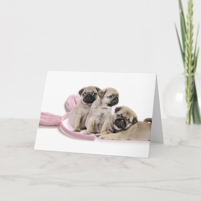 Pug Puppy Easter Card (Front)