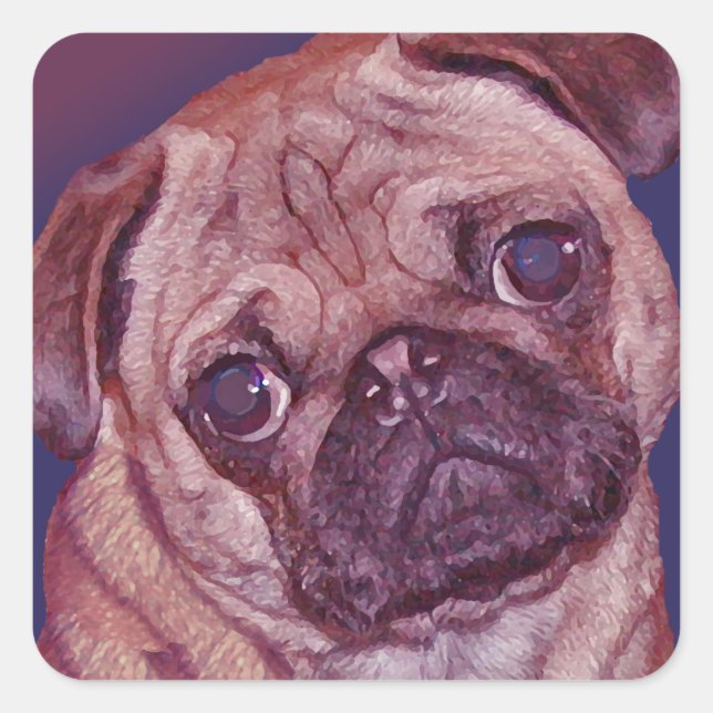 Pug Puppy Face Stickers (Front)