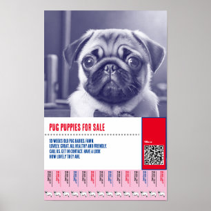 Pug puppy for sale flyer templates poster