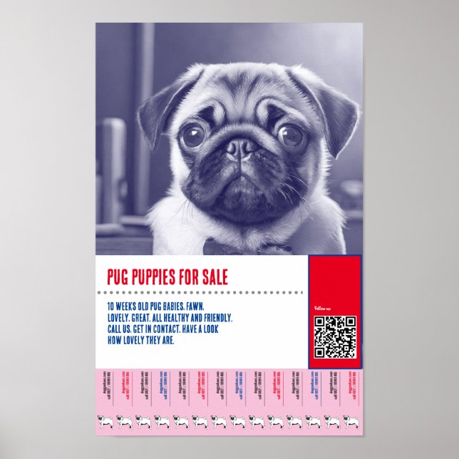 Pug puppy for sale flyer templates poster (Front)