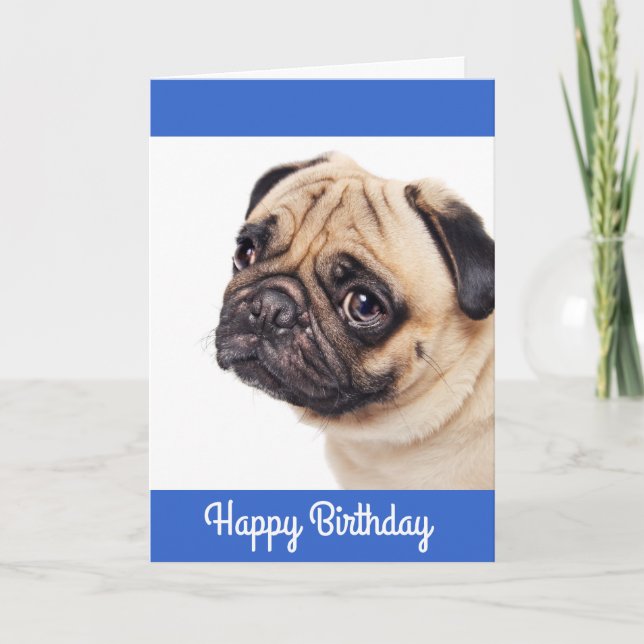 Pug Puppy Happy Birthday Card - Verse inside (Front)