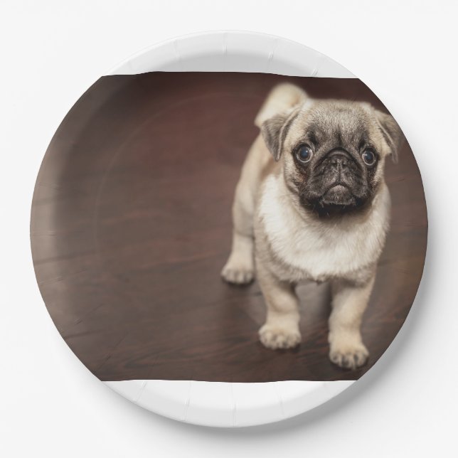 pug-puppy in sepia paper plate (Front)