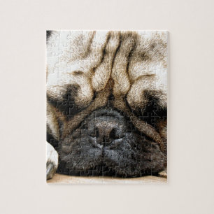 Pug puppy jigsaw puzzle