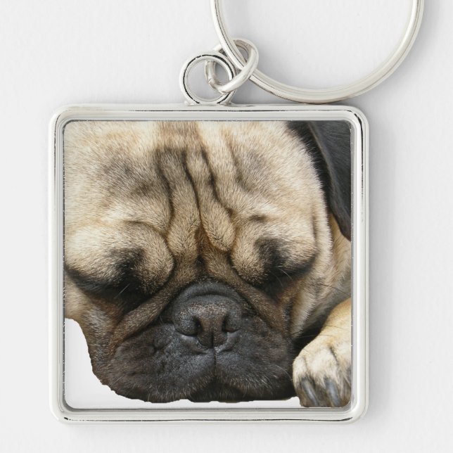 pug puppy key ring (Front)