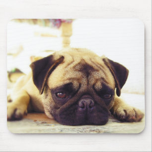 Pug Puppy Laying on the Ground looking Sad Mouse Pad