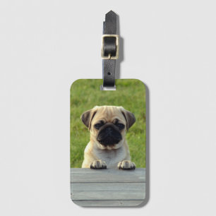 Pug Puppy Luggage Tag