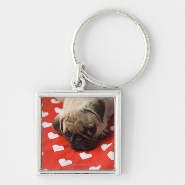 Pug puppy lying on bed, close up key ring (Front)