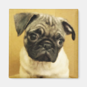 Pug Puppy Magnet