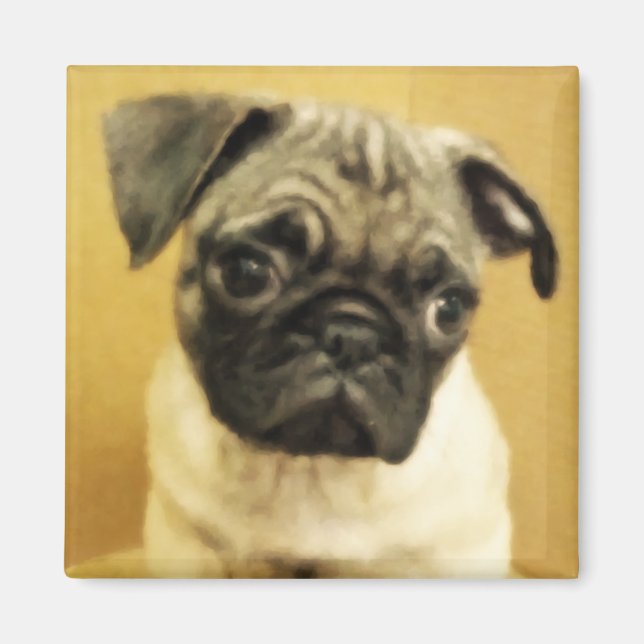 Pug Puppy Magnet (Front)