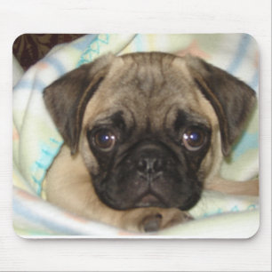 Pug Puppy Mouse Pad