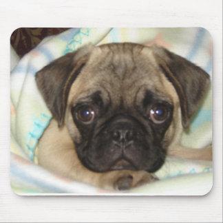 Pug Puppy  Mouse Pad