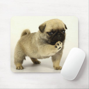 Pug Puppy Mouse Pad