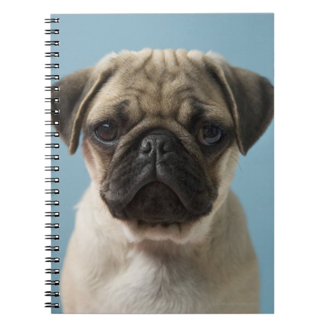Pug Puppy Notebook (Front)
