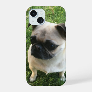 Pug Puppy Photo iPhone 15 Case