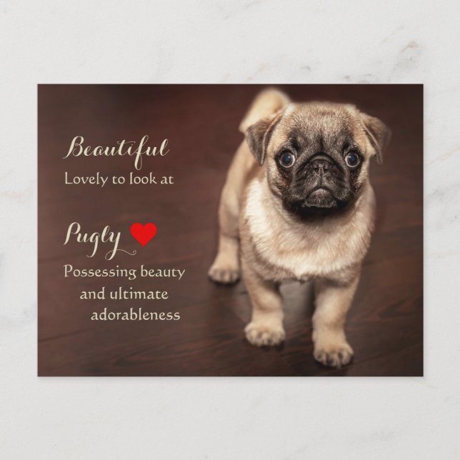 Pug Puppy Postcard (Front)