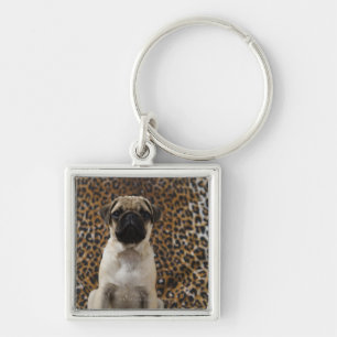 Pug puppy sitting against animal print 2 key ring