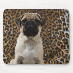 Pug puppy sitting against animal print 2 mouse pad