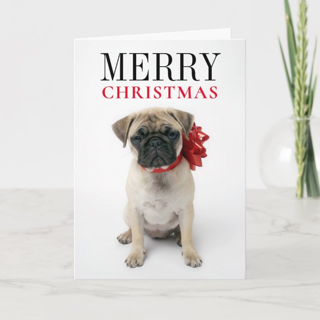 Pug Puppy with Christmas Bow Holiday Card (Front)