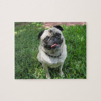 Pug Puzzle