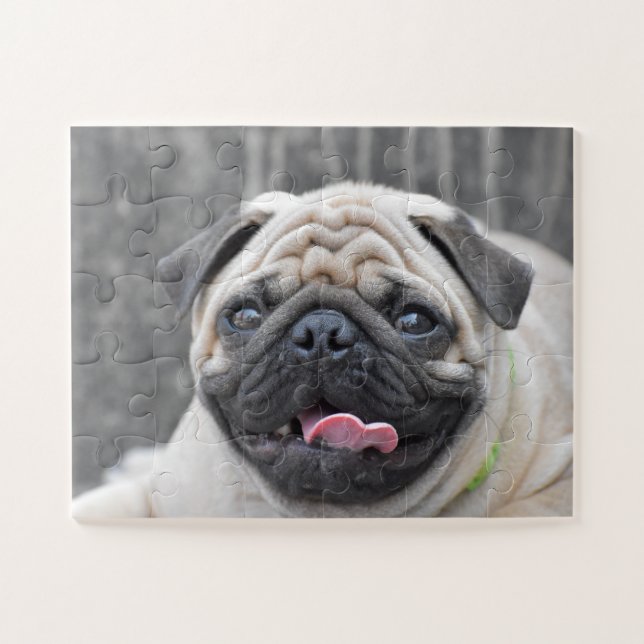 Pug Puzzle (Horizontal)