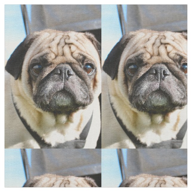 Pug q fabric (Close Up)