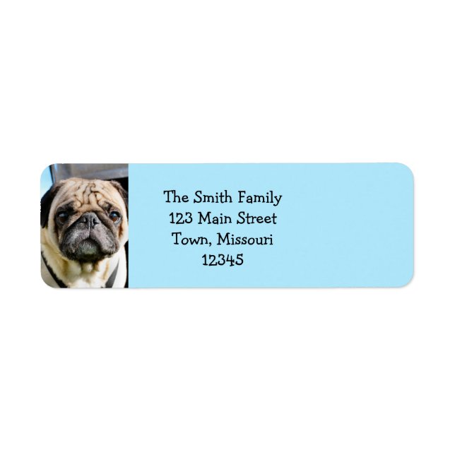 Pug Return Address Label (Front)