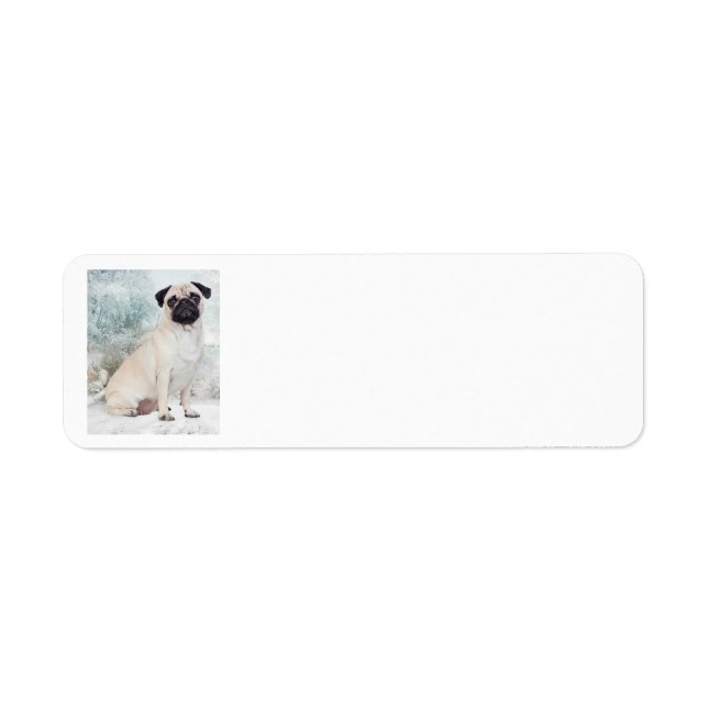 Pug Return Address Labels (Front)