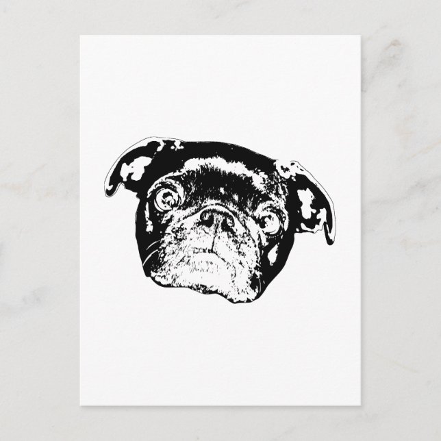 Pug Season Post Postcard (Front)