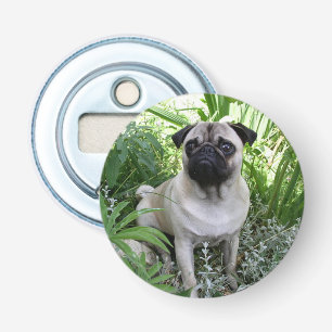 pug sitting bottle opener