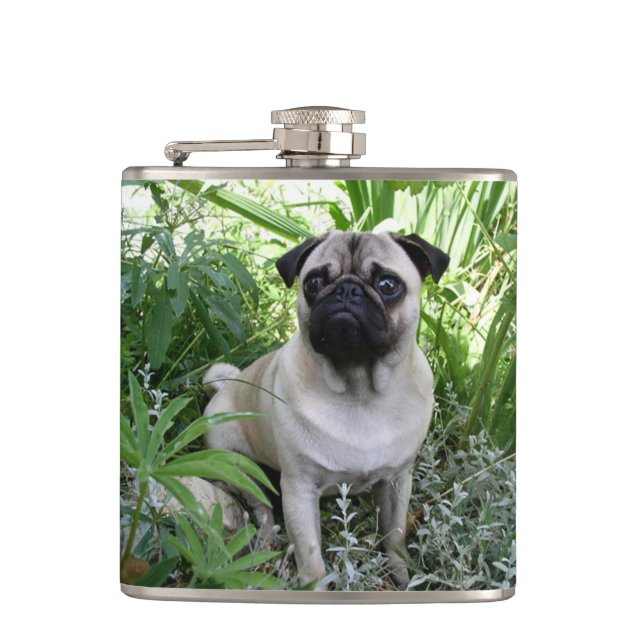 pug sitting hip flask (Front)