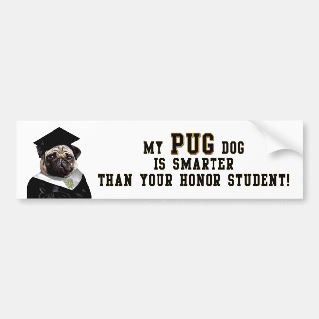 Pug smarter than honour student Bumper Sticker (Front)