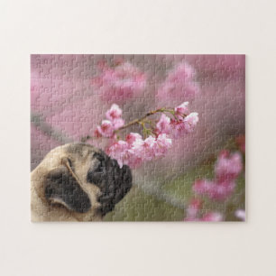 Pug Smelling Cherry Blossoms Jigsaw Puzzle