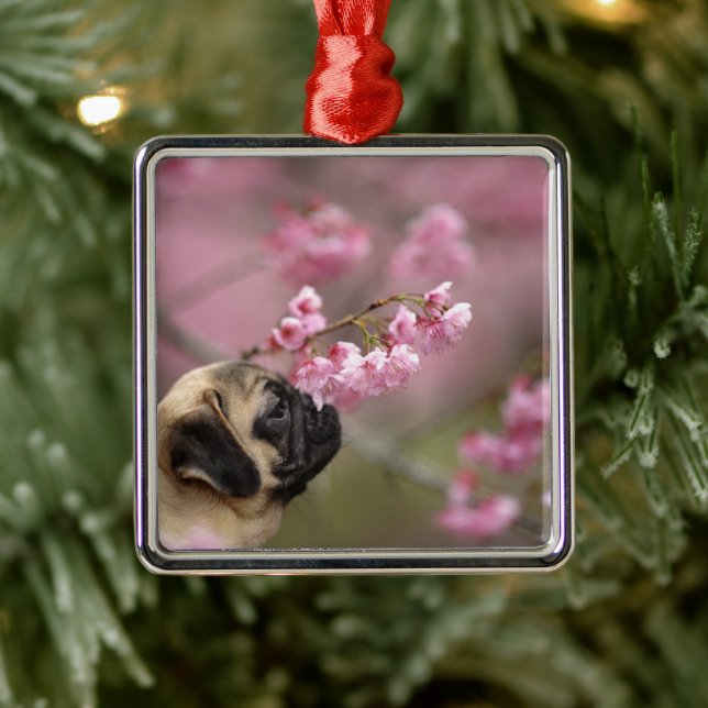 Pug Smelling Cherry Blossoms Metal Ornament (Tree)