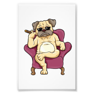 Pug Smoking Cigar Really Cool Pug Dog Photo Print