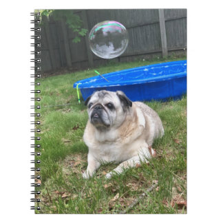 Pug Spiral Notebook