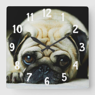 Pug Square Wall Clock